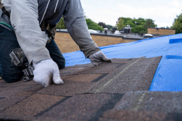Best Storm Damage Roof Repair  in Wesley Chapel, NC
