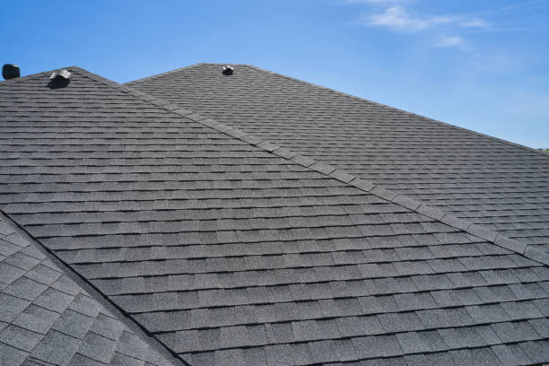 Best Roof Moss and Algae Removal  in Wesley Chapel, NC